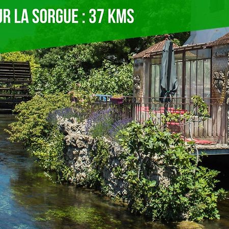 Petit Terme - Piscine - Clim - Parking Daire Les Angles  Dış mekan fotoğraf