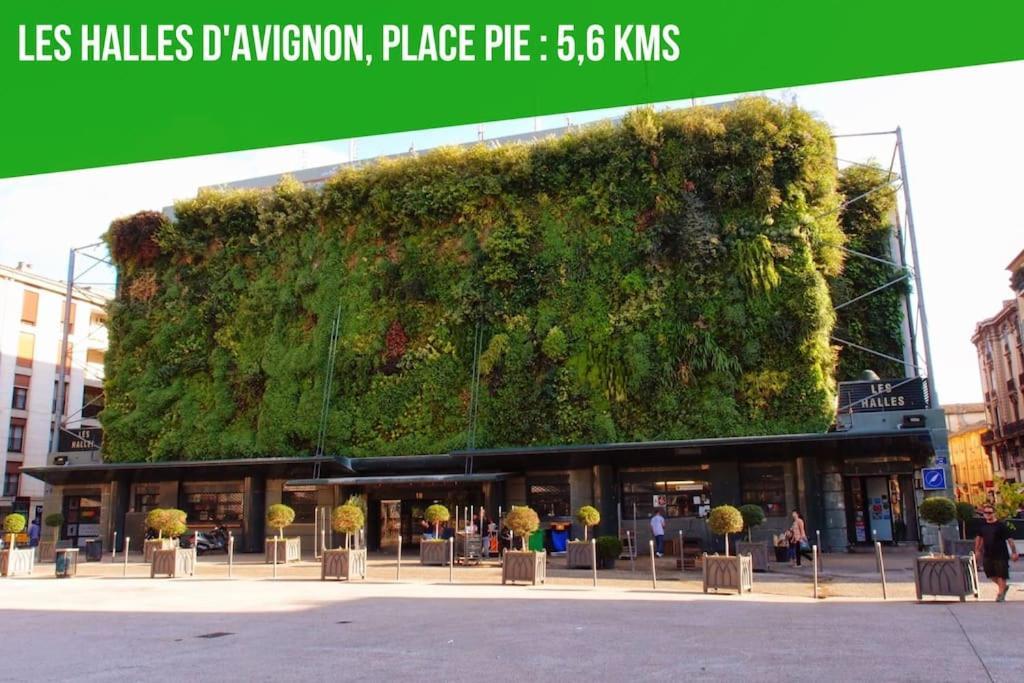 Petit Terme - Piscine - Clim - Parking Daire Les Angles  Dış mekan fotoğraf